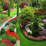 ЛАНДШАФТНЫЙ ДИЗАЙН