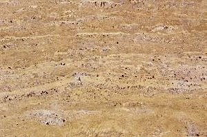 Травертин Еллоу 1713