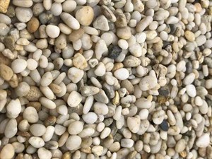 {{productViewItem.photos[photoViewList.activeNavIndex].Alt || productViewItem.photos[photoViewList.activeNavIndex].Description || 'Галька жемчужная (мытая)'}}