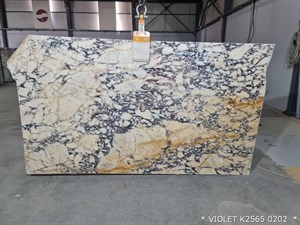 {{productViewItem.photos[photoViewList.activeNavIndex].Alt || productViewItem.photos[photoViewList.activeNavIndex].Description || 'Violet K2565'}}